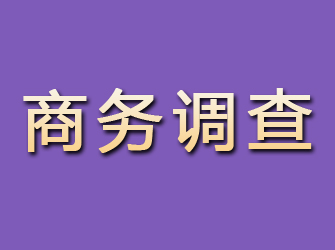 邕宁商务调查